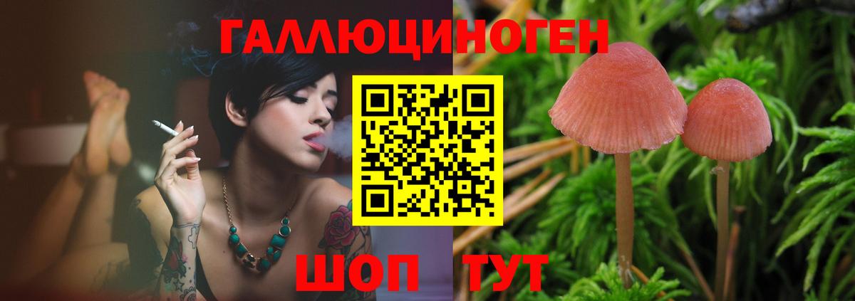 как найти закладки  Псилоцибиновые грибы MAGIC MUSHROOMS  Изобильный  Вход с VPN  Псилоцибиновые грибы мухоморы 